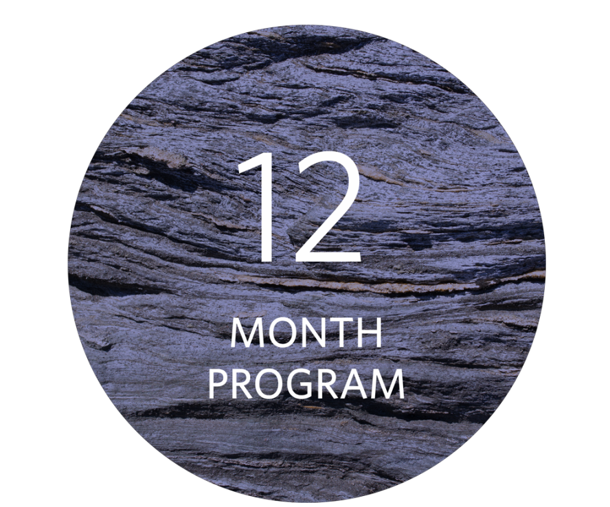 12 month program